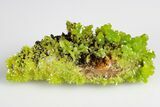 Apple-Green Pyromorphite Crystal Cluster - China #179817-2